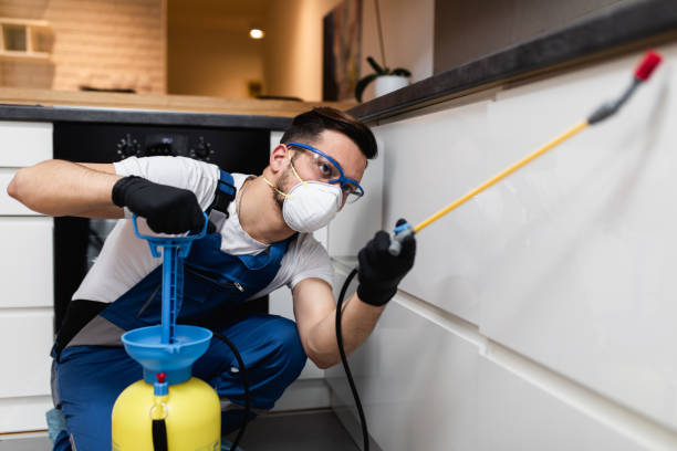 Best Pest Control Near Me in Ambler, PA
