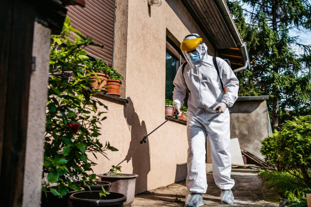 Insect Control in Ambler, PA
