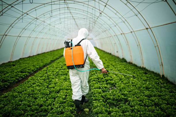 Best Residential Pest Control  in Ambler, PA