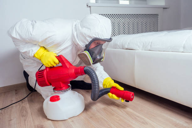 Reliable Ambler, PA Pest Control Solutions