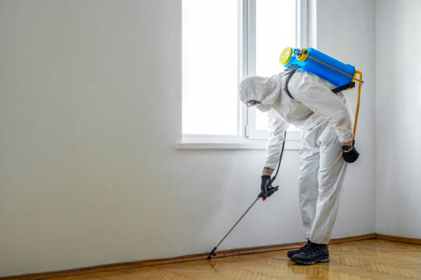 Best Termite Control Services  in Ambler, PA