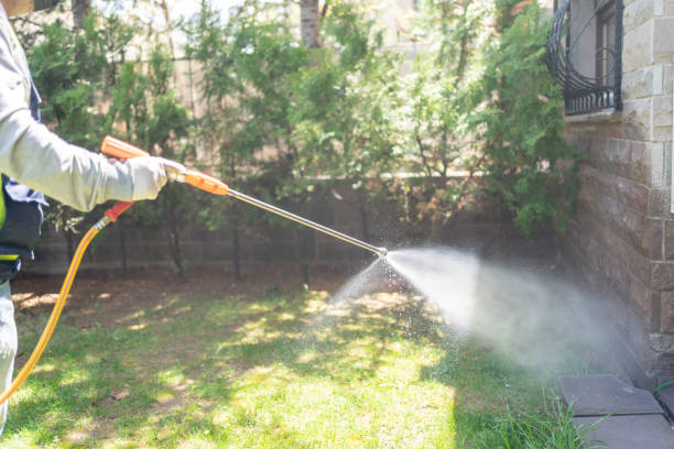 Best Residential Pest Control  in Ambler, PA